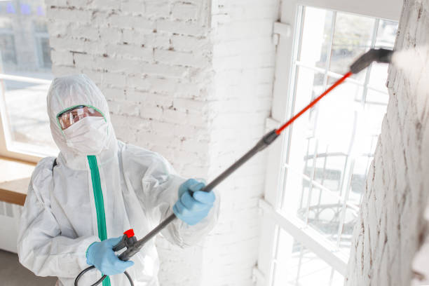 Best Mold Documentation for Insurance Claims  in Collinsburg, PA
