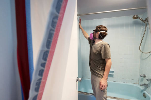 Best Water Damage & Mold Remediation  in Collinsburg, PA