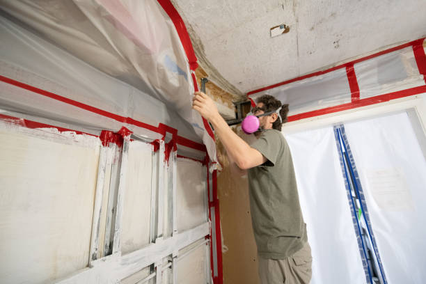 Best HVAC Mold Inspection and Cleaning  in Collinsburg, PA