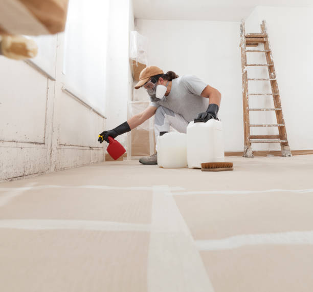 Best Real Estate Mold Inspection  in Collinsburg, PA